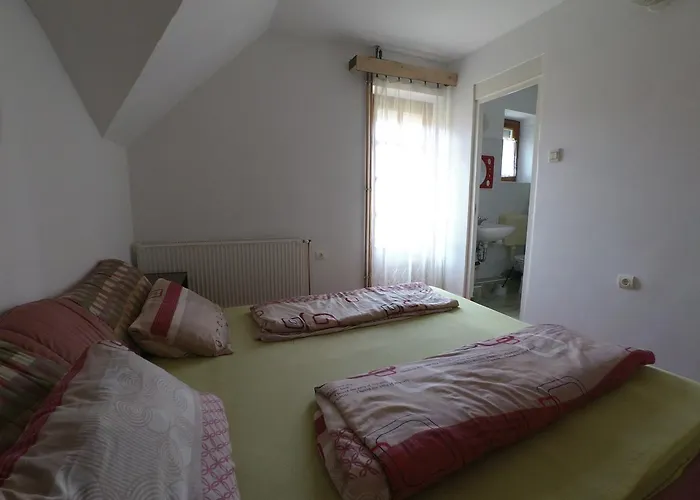 Pensionat Baratsag Haz *